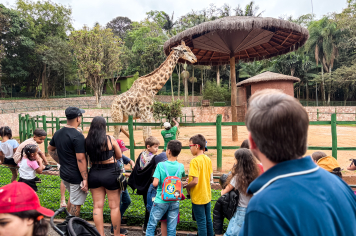 Foto - Passeio Zoológico 15/10/2025