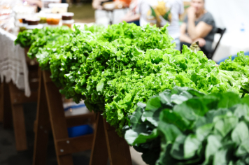 Foto - Feira Noturna - 21/08/2025