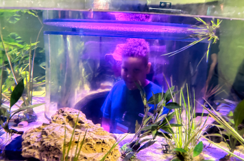 Foto - Passeio Zoológico 15/10/2025