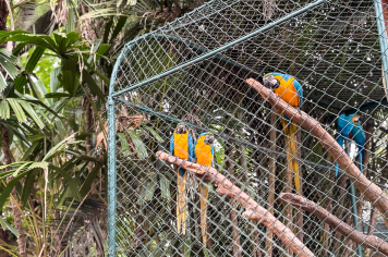 Foto - Passeio Zoológico 15/10/2025