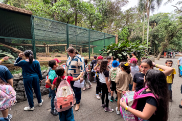 Foto - Passeio Zoológico 15/10/2025