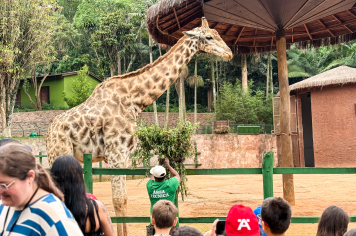 Foto - Passeio Zoológico 15/10/2025