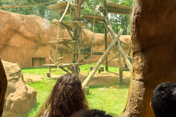 Foto - Passeio Zoológico 15/10/2025