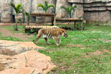 Foto - Passeio Zoológico 15/10/2025