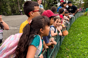 Foto - Passeio Zoológico 15/10/2025