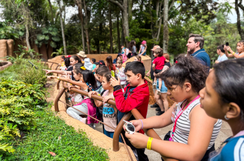 Foto - Passeio Zoológico 15/10/2025