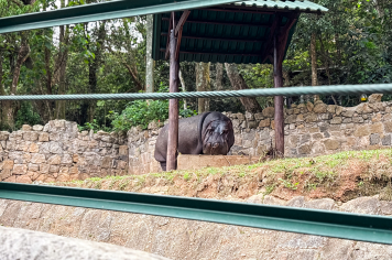 Foto - Passeio Zoológico 15/10/2025